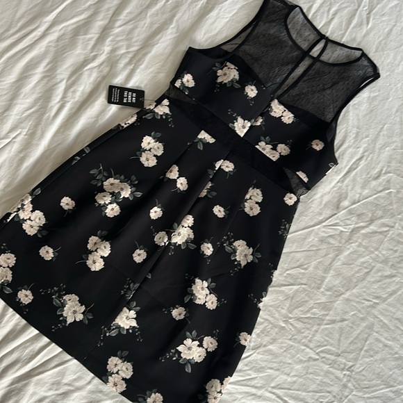 Express Dress - Picture 3 of 5